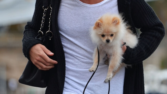 Person in a black cardigan holding a small fluffy dog outdoors, symbolizing cancer symptoms doctor stories awareness.