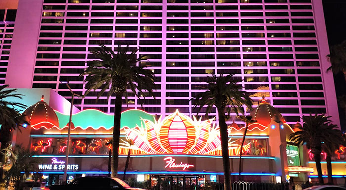 Casino exterior at night with neon lights and palm trees, illustrating stories from casino workers in a vibrant setting.