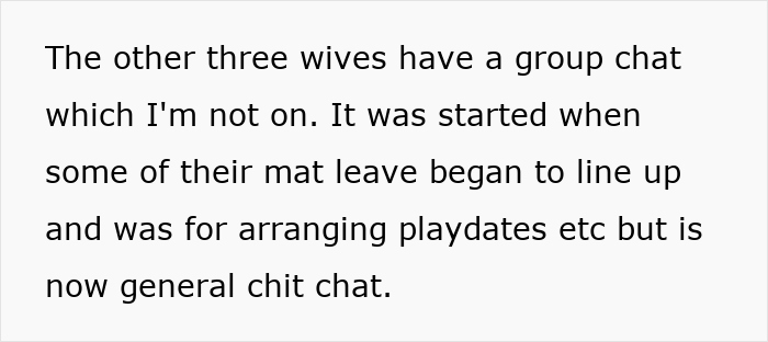 Text excerpt showing a woman refusing to be the go-to nanny during a couples’ trip, impacting the group vibe. - 23
