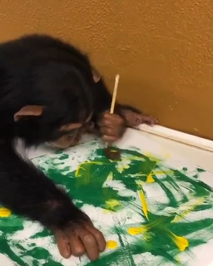 "That's Metal ASF": Ozzy Osbourne Teams Up With Chimps To Create Abstract Art For A Noble Cause
