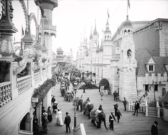Black and white photo of a parade with elephants and people dressed in early 1900s attire showing unique old photos.