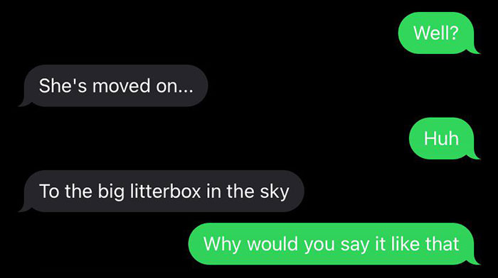 Text message conversation highlighting clueless partners with a humorous misunderstanding about moving on and a litterbox.