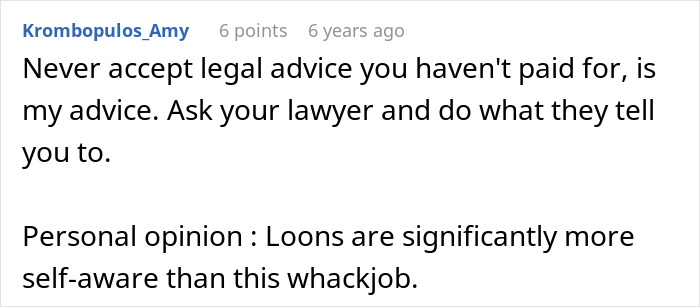 Screenshot of a Reddit comment discussing legal advice amid a custody dispute involving false CPS reports.