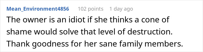 Comment expressing frustration about pet damage, mentioning owner, family, and the idea of a cone of shame.