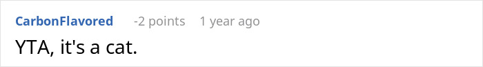 Screenshot of an online comment saying YTA, it's a cat, related to a woman furious her partner won't rename cat. - 48