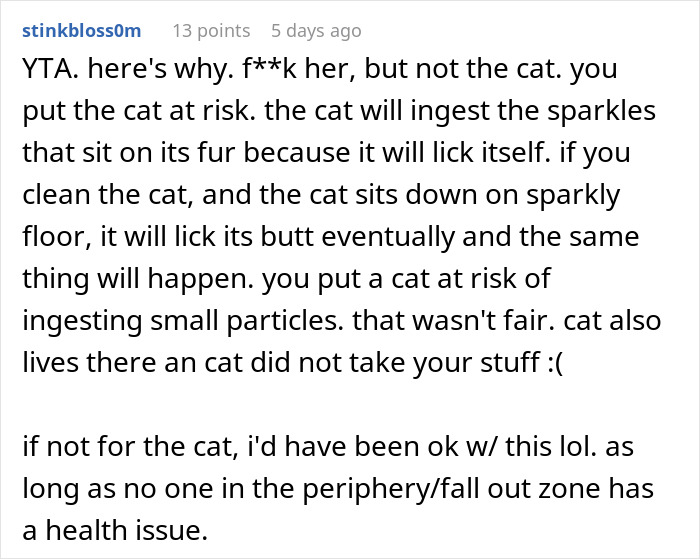 Comment warning about risks of putting glitter in humidifier affecting cat around roommate stealing clothes.