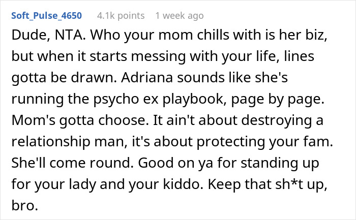 Screenshot of a Reddit comment discussing a man threatening to cut off his mother over her friendship with his vengeful ex. - 29