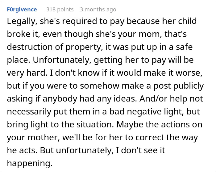 Comment discussing legal responsibility and challenges in making a mother pay for property damage caused by her child.