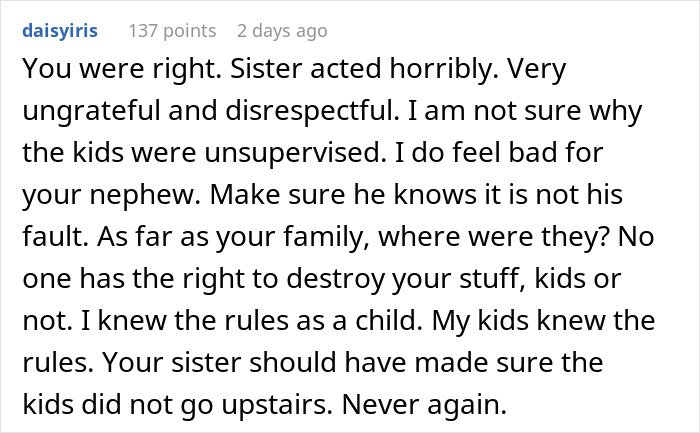 Comment discussing a woman upset after her brother cut her son&rsquo;s party short due to a broken sentimental toy.