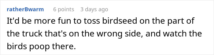 Comment suggesting tossing birdseed on the part of a truck blocking a driveway to encourage birds to poop there. - 18