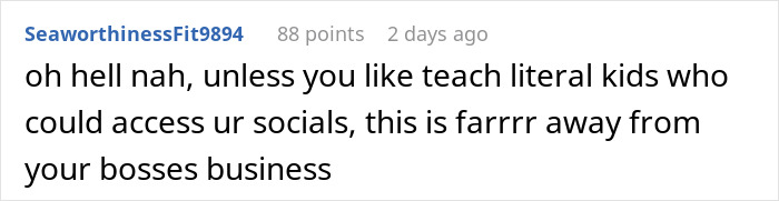 Commenter stating that posting bikini pictures is far from the boss's business regarding employee social media content. - 15