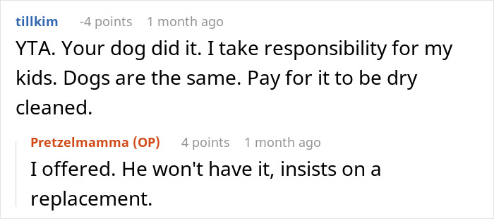 Screenshot of a discussion about a woman refusing to replace nephew&rsquo;s jacket ruined by dog&rsquo;s accident, highlighting responsibility.