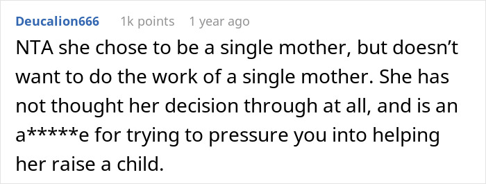 Screenshot of a Reddit comment discussing a woman choosing to be a single mother and expecting her friend to babysit. - 18