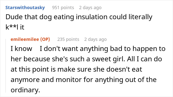 Commenters discuss concern about a dog eating insulation, with a friend insisting to carefully monitor the dog&rsquo;s health.