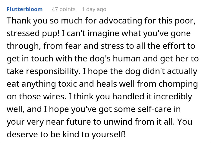 Comment expressing gratitude for insisting on helping a stressed dog and being a good friend by advocating for its care.