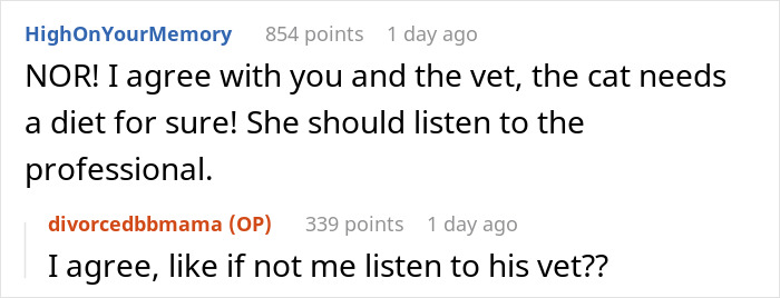 Screenshot of a conversation about a severely overweight cat needing a diet and advice from a vet. - 16