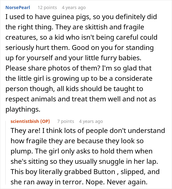 Commenters discuss not babysitting undisciplined kid and the importance of respecting fragile pets like guinea pigs.