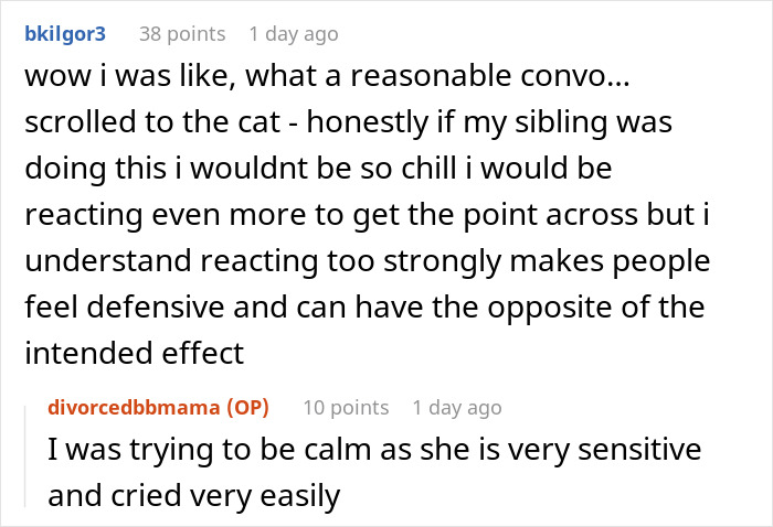 Reddit conversation about a woman calling her sister out after seeing her severely overweight cat’s condition. - 26