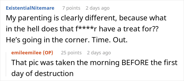 Screenshot of a social media comment discussing parenting and a dog with insist friend board dog behavior.