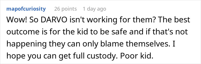 Comment discussing co-parenting misunderstanding turning ugly with CPS involvement and concerns for child safety and custody.
