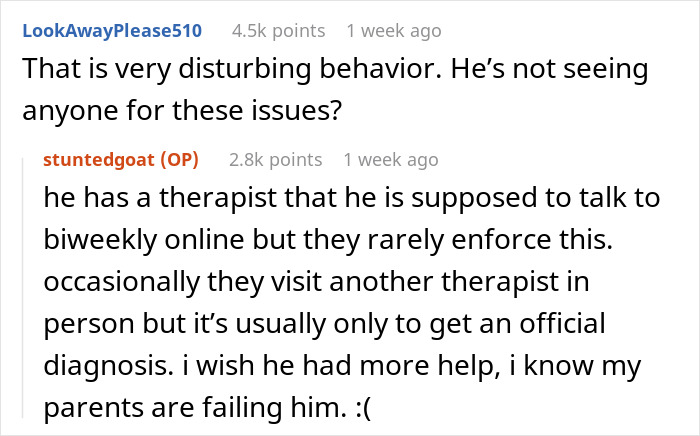 Reddit user discussing concerns about safety and lack of support for autistic brother with family dismissing fears. - 18