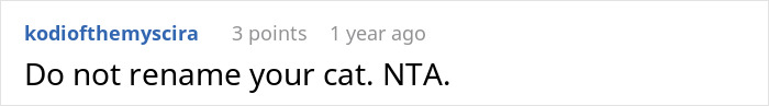 Screenshot of a user comment stating Do not rename your cat with a username visible and a 3-point score. - 41