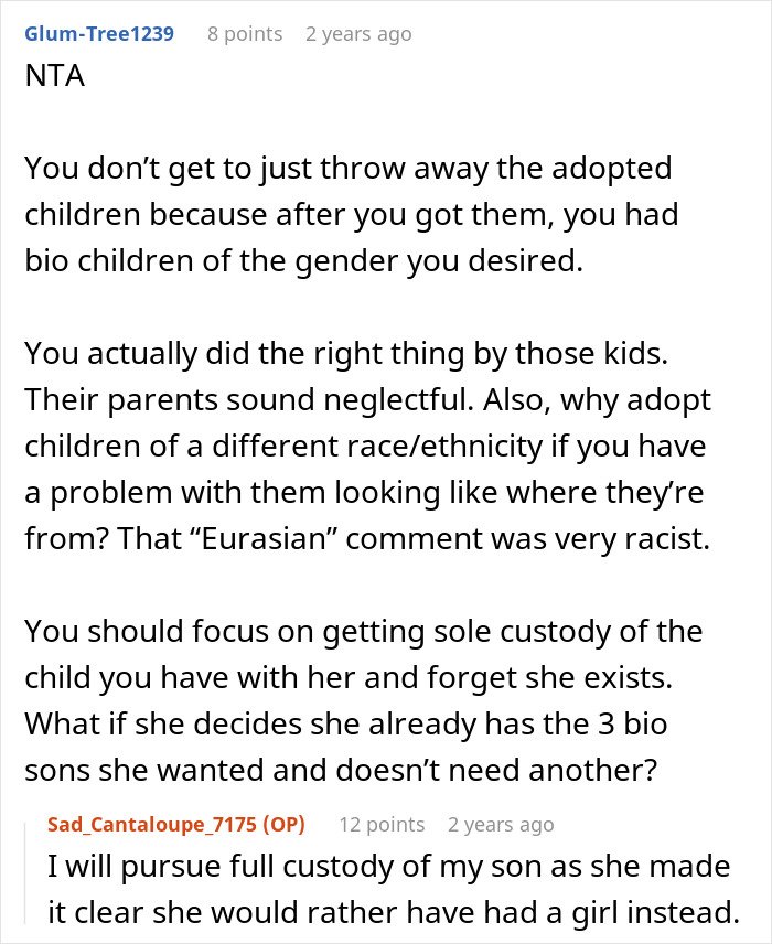 Reddit comment discussing adoption, custody battles, and challenges faced by a mom of six during divorce proceedings.