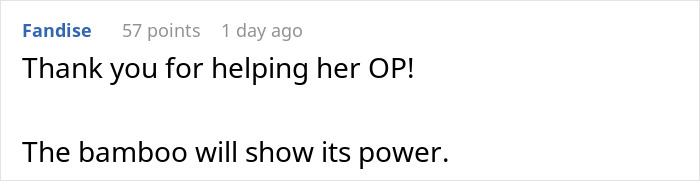 Screenshot of a Reddit comment thanking a guy helping a domestic violence victim and mentioning bamboo as revenge.