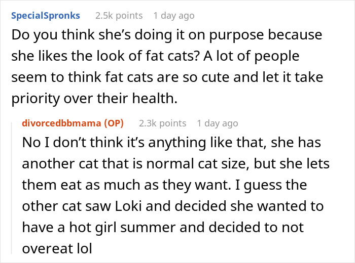 Comments discussing a woman's overweight cat and contrasting it with her sister’s cat of normal size. - 13