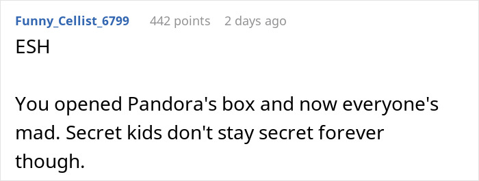 Comment discussing a man with a secret kid revealed by his nosy sister causing family conflict and potential divorce. Comment discussing a man with a secret kid revealed by his nosy sister causing family conflict and potential divorce.