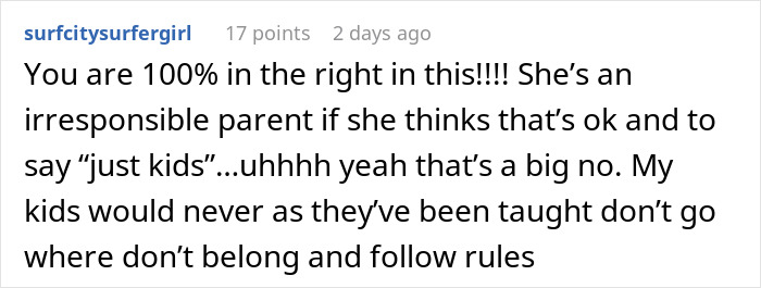 Comment discussing a woman upset after her brother cut her son&rsquo;s party short following a broken sentimental toy.