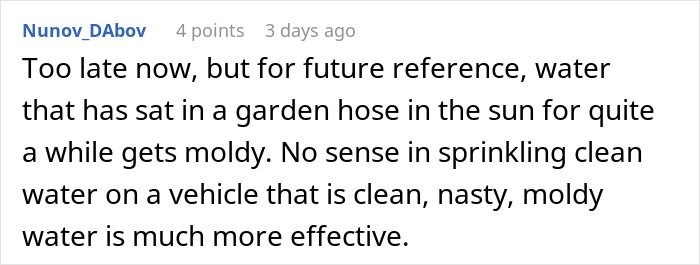 Comment discussing moldy water in a garden hose used for cleaning vehicles involved in driveway blocking dispute. - 22