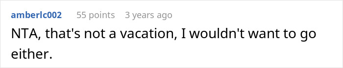 Screenshot of an online comment discussing a teen refusing unpaid babysitting and skipping a family trip.