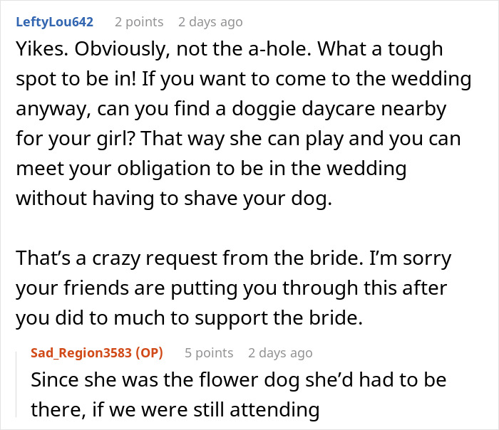 Woman bends over backward for bride's wishes and faces shock when asked to shave her dog for wedding. - 18