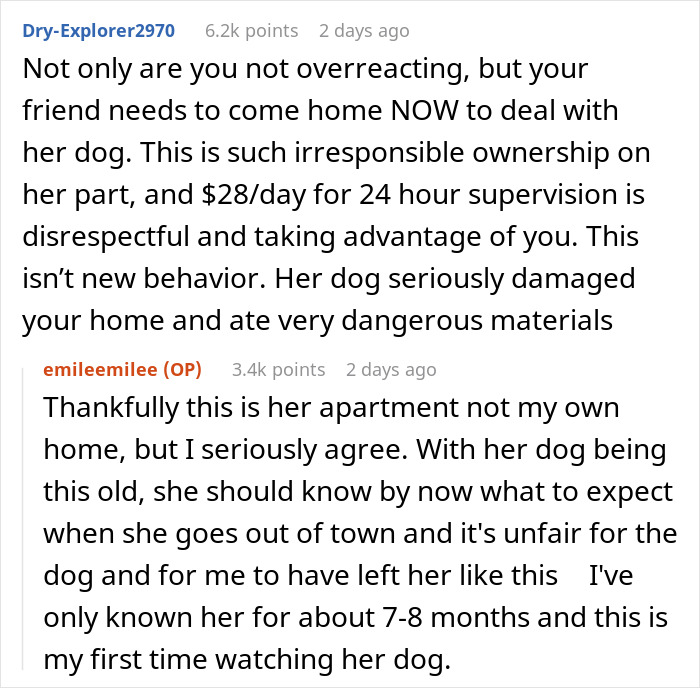 Comments discussing a friend who insists on boarding a dog despite damage and responsibility concerns.