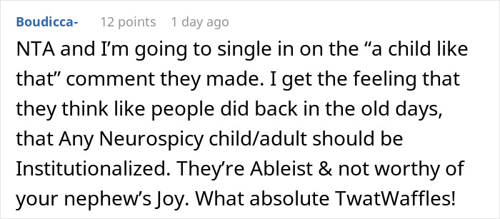 Screenshot of an online comment discussing a bride called self-centered brat by groom's parents over autistic nephew issues. Screenshot of an online comment discussing a bride called self-centered brat by groom's parents over autistic nephew issues.