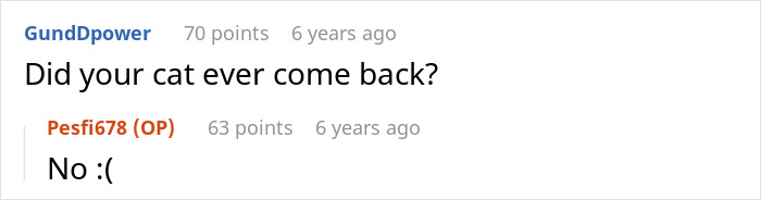 Screenshot of an online conversation with user GundDpower asking about a cat and user Pesfi678 replying no.