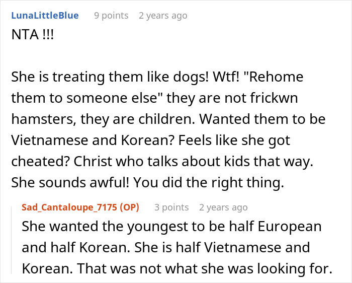 Online discussion about mom of 6 trying to dump two adopted kids on ex during divorce leading to CPS involvement.