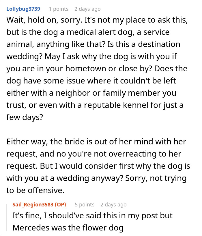 Comment discussing concerns about a bride's unusual wedding request involving shaving a dog and the presence of a flower dog. - 19