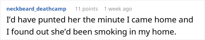 Comment about a woman creating a mess in sister-in-law’s home and facing an unexpected reality check. - 28