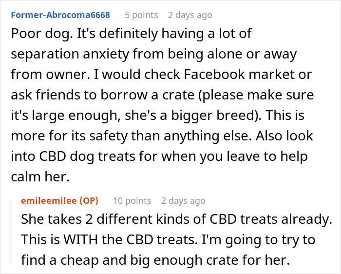Discussion about dog separation anxiety and advice to insist friend to board dog with a suitable crate for safety.