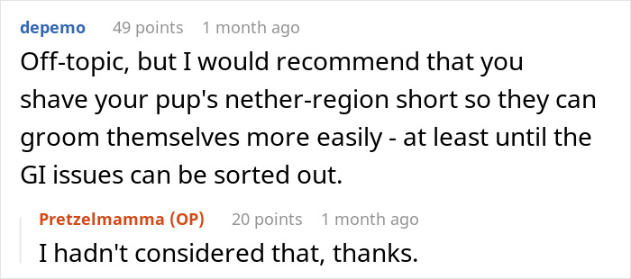 Woman refusing to replace nephew&rsquo;s jacket ruined by dog&rsquo;s accident, explaining he ignored her warnings in a discussion.