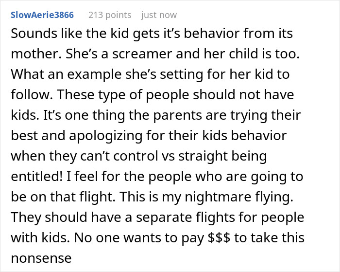 Woman tries to survive TSA at 7AM, ambushed by rude mom with opinions and a noisy megaphone kid in airport line. - 27