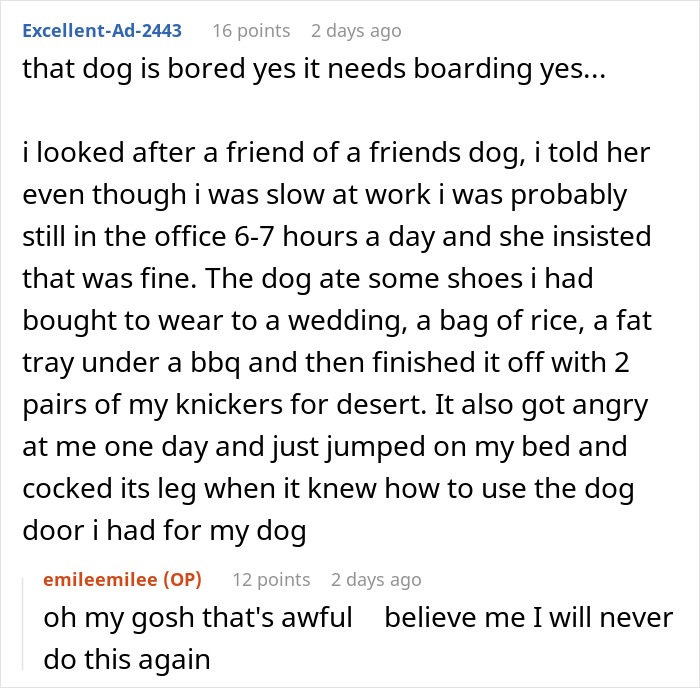 User comments about a friend&rsquo;s dog insisted to board, describing chaotic pet behavior and challenges faced.