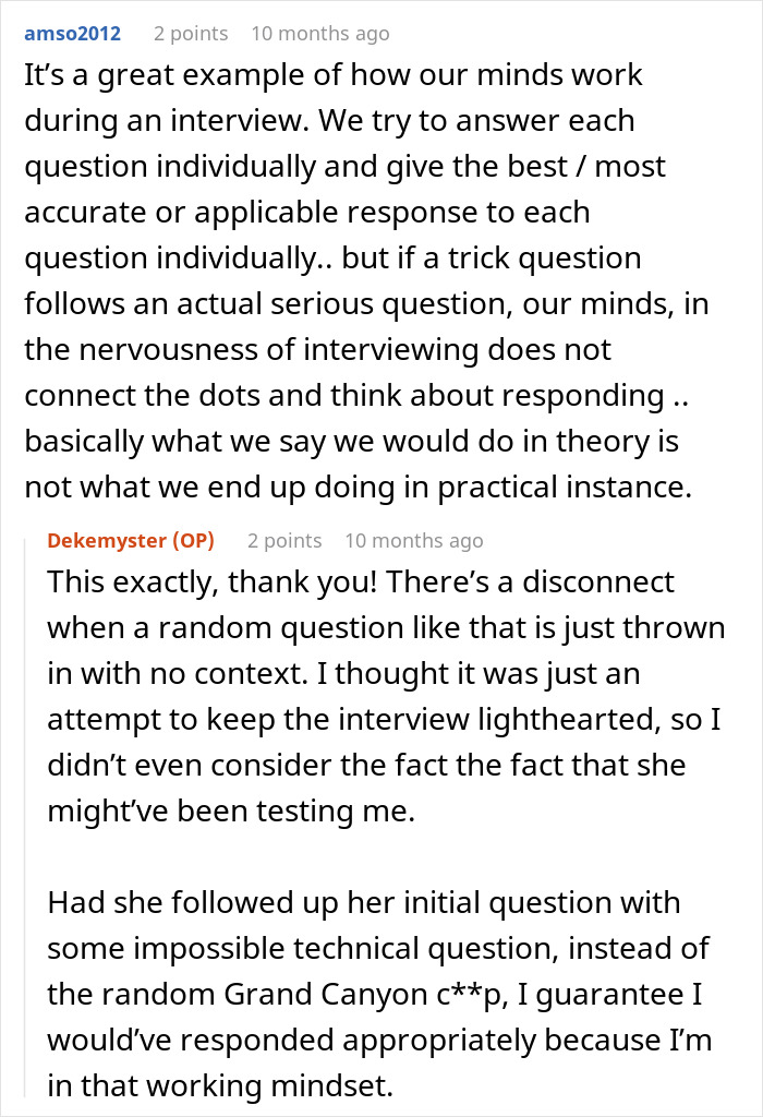 Reddit discussion about a man upset recruiter judged his work ethics based on a random Grand Canyon question during interview. - 18