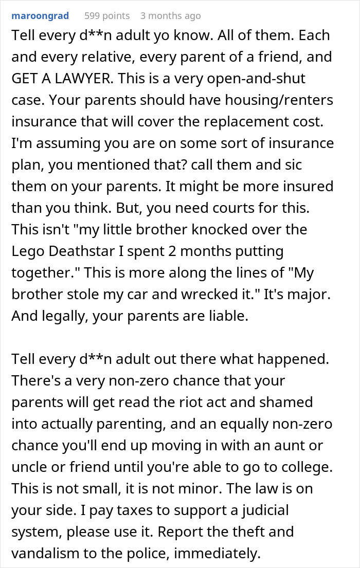 Comment discussing legal advice on insurance and liability after a brother causes major damage, emphasizing courts and police involvement.