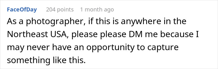 Screenshot of a Reddit comment on a discussion about a guy deciding to skip his sister&rsquo;s rebirth party due to discomfort.