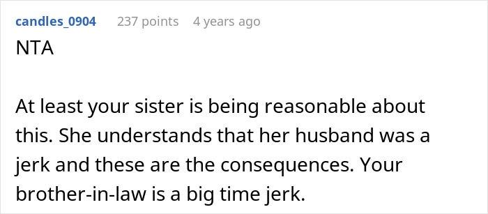 Screenshot of a user comment discussing a woman quitting babysitting after her brother-in-law shows up with unfamiliar kids expecting free care. - 21