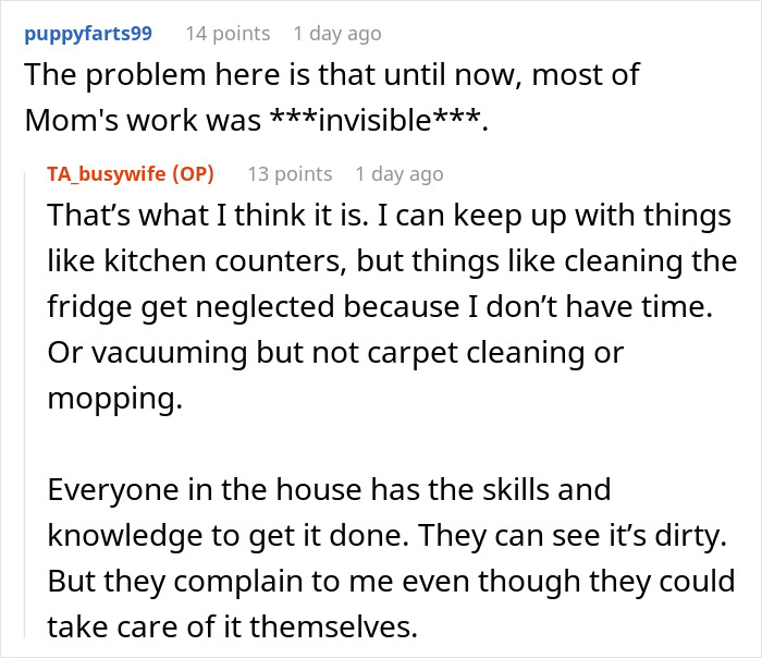 Online discussion where a student working mom explains family complaints about uneven household chores and invisible work.