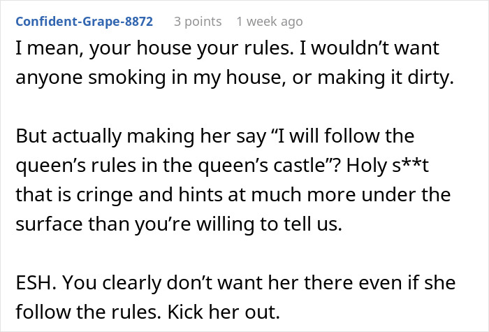 Comment text on a forum discussing a woman creating a mess in SIL’s home and facing consequences. - 40